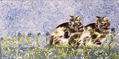 Menta de gato de Suzi Kennett